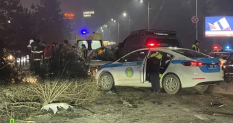 Три человека погибли в крупном ДТП в Алматы