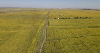 Земли компаний Болата Назарбаева вернули государству: появились подробности