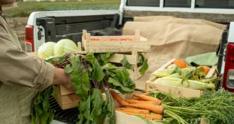 Что будет с ценами на продукты после подорожания бензина. Мнения экспертов