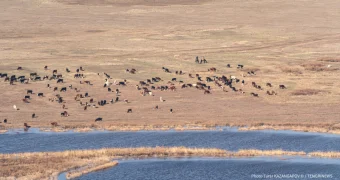 Вода может стать дороже, чем бензин - казахстанский эколог