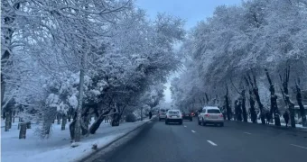 В Казахстане 1 декабря водителей начнут штрафовать за летние шины