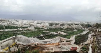 Сразу два торнадо обрушились на побережье Антальи. Видео