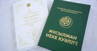 "Это незаконно": депутат высказался о неке в Казахстане