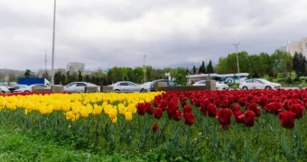 Температурный рекорд 57-летней давности побит в Казахстане