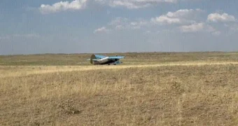 Поля с мертвой саранчой сняли на видео в Туркестанской области