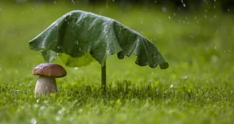 С казахстанцев захотели взымать тариф за дождь