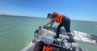 Двух туристов на сапбордах унесло в море у побережья Актау