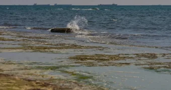 Уровень воды в Каспийском море повысился