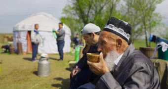 Самый влиятельный род в Казахстане: Кто правит в трех жузах?