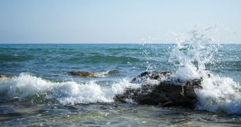 Море находится на грани исчезновения – Токаев о Каспии