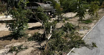 Снес деревья и врезался в дом водитель водовоза во время полива в Актау