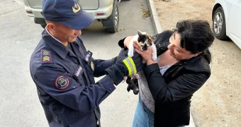 Шестерых детей и кошку спасли спасатели Мангистау