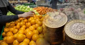 Продукты по доступным ценам перед Новым годом: заявление правительства Казахстана