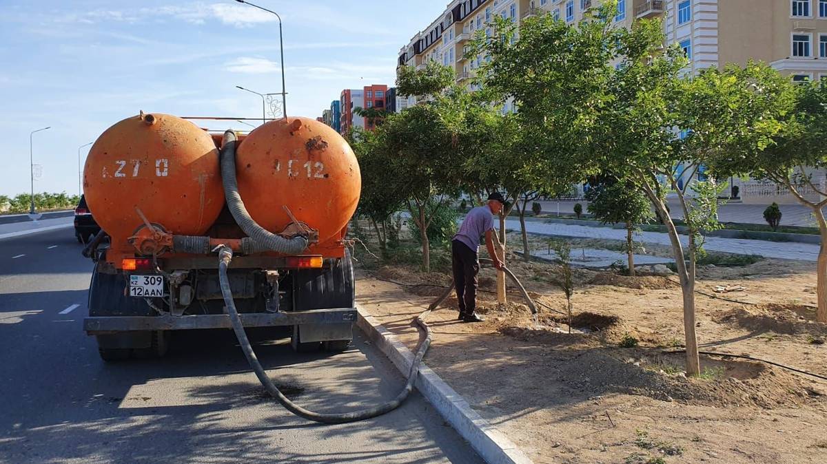 В Актау планируют поливать деревья с использованием воды из центральной  системы водоснабжения