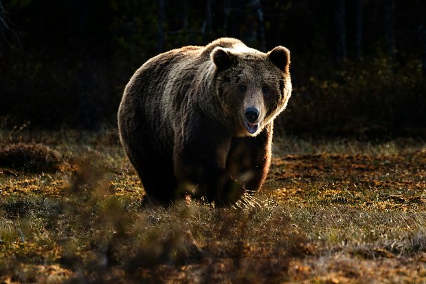 Фото: Zdeněk Macháček / Unsplash