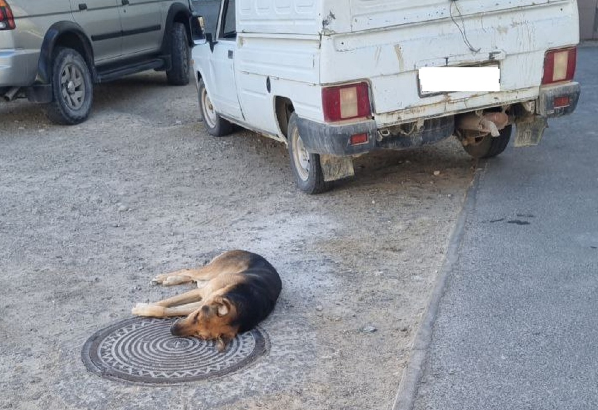 Фото пользьзователя сайта