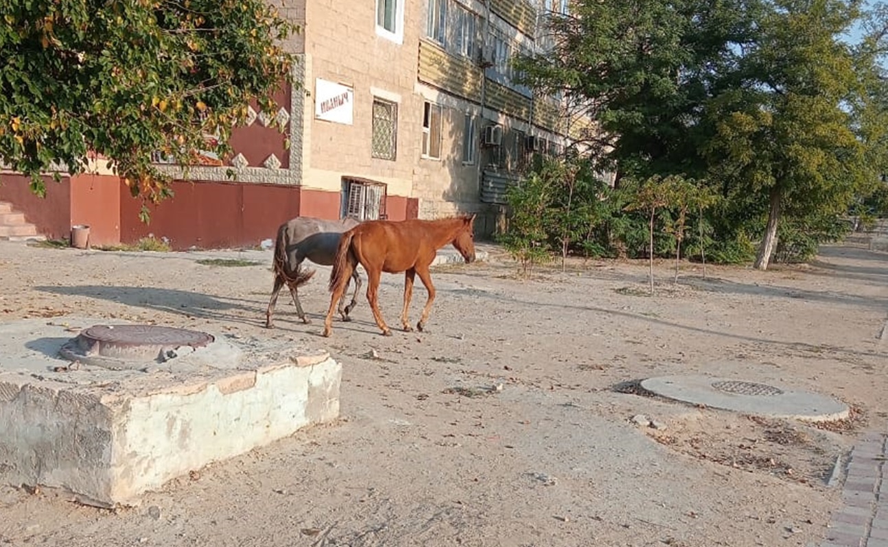 фото прислано жителями