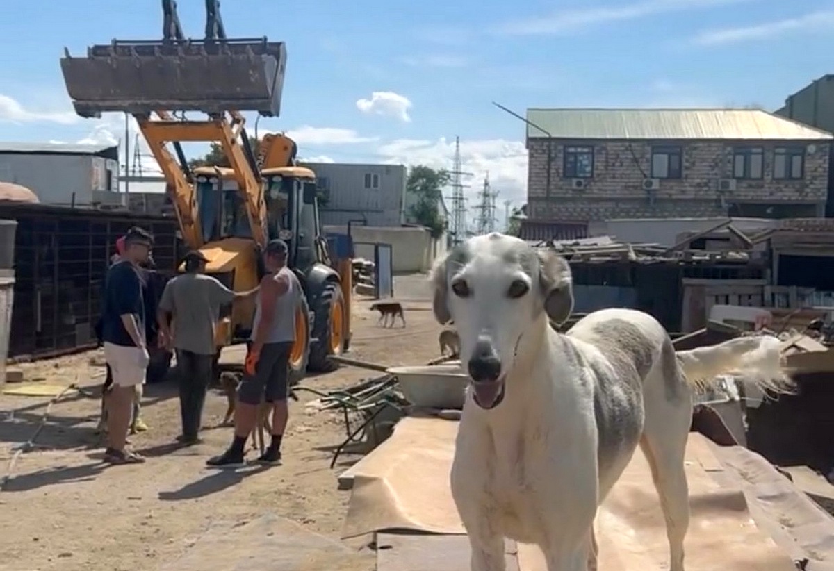 Фото волонтерского движения «Клуб добряков Актау»