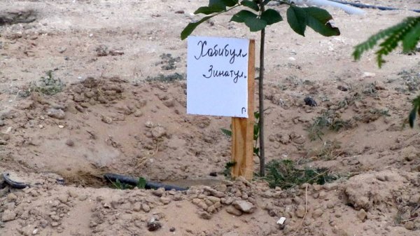 Таблички с именами героев ВОВ разломали, и саженцы засохли в парке в Актау