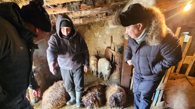 “Left the carcasses unharmed.”  An unknown beast killed sheep in a village in eastern Kazakhstan