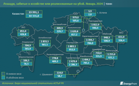 Мангистау оказался в лидерах по росту цен на казы