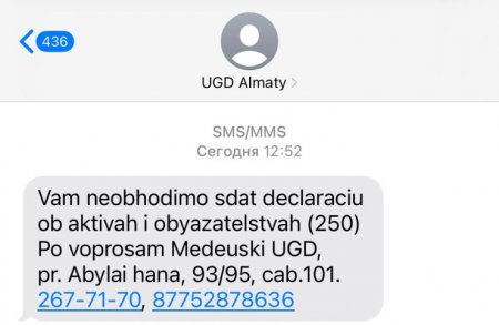 Нужно сдать декларацию: казахстанцы получают SMS от налоговой