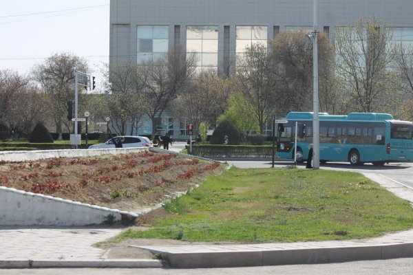 Что будет цвести на бывшем поле пластиковых тюльпанов в Актау