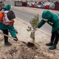 В Актау пройдет фестиваль «Сән құрақ FEST - 2023»